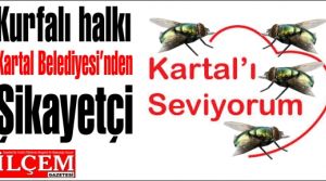 Kurfalı halkı Kartal Belediyesi'nden şikayetçi 'Kurtarın bizi sinekler'den!'