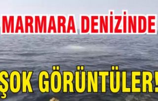 Heybeli Ada'da şok görüntüler! Marmara Denizi...