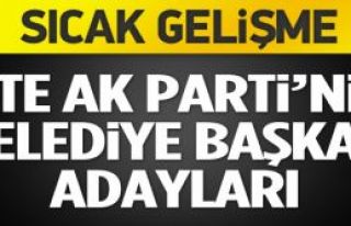 Başbakan Erdoğan, 15 ilin belediye başkan adaylarını...