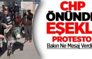 CHP'liler CHP'yi Eşekli Protesto ettiler!