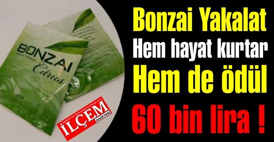 Bonzai satanı yakalat hem 60 bin lira kazan, hem de hayat kurtar!