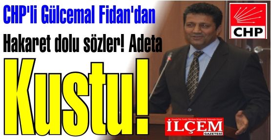 CHP'li Gülcemal Fidan'dan Hakaret dolu sözler!