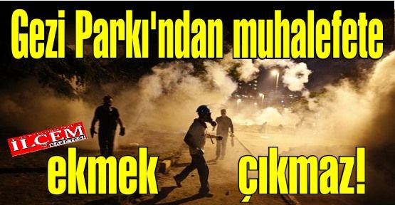 Gezi parkı eylemleriyle AK Parti'nin çökeceğini beklemek fazla hayalcilik!