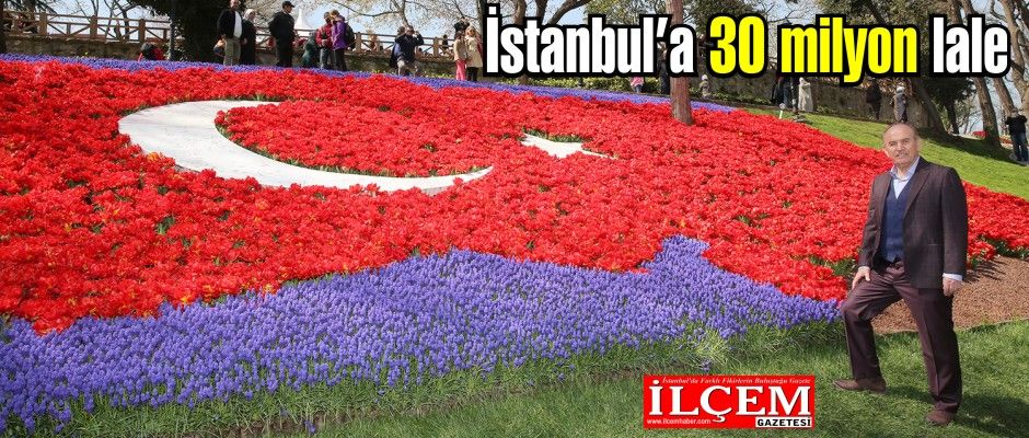 İstanbul'u 30 milyon lale süslüyor