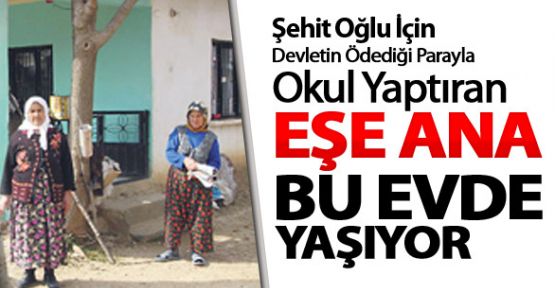 İşte Türk Anası Böyle olur! Şehit Annesi okul yaptırıyor!