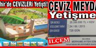 Nevşehir’de cevizleri yetişti, Ceviz Meydanı yetişmedi!