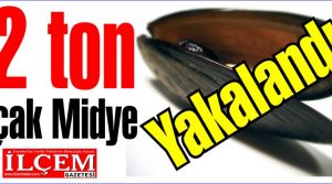 32 ton kaçak midye yakalandı