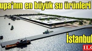 Avrupa'nın en büyük su ürünleri hali İstanbul'da!