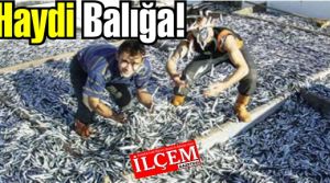 Balık severler Müjde! Av yasağı sona erdi.