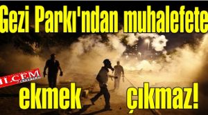 Gezi parkı eylemleriyle AK Parti'nin çökeceğini beklemek fazla hayalcilik!