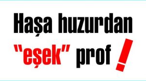 Haşa huzurdan “eşek” prof!