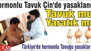 Hormonlu Tavuk Çin'de yasaklandı! 