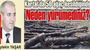 Kartal'da 50 ağaç kesildiğinde Neden yürümediniz?