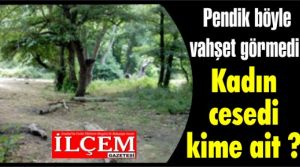 Pendik böyle vahşet görmedi!