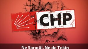 Prof. Dr. Halil Semih Eryıldız, CHP İstanbul Belediye Başkan aday adayı 