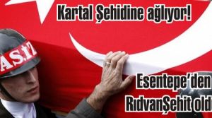 Rıdvan Çelik Şehit oldu. Kartal şehidine ağlıyor.