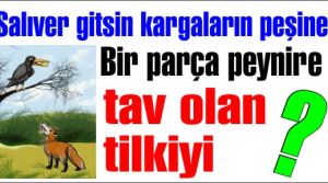 Salıver gitsin kargaların peşine Bir parça peynire tav olan tilkiyi! İşte Bu Ne Ya Şarkısının Sözleri