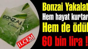 Şaşkınız İlanı! Kaygılılara karşı ilan yayınladılar