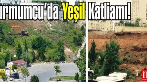 Uğurmumcu’da yeşil alan katliamı!