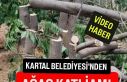 Kartal Belediyesi'nden eşi görülmemiş ağaç...