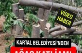 Kartal Belediyesi'nden eşi görülmemiş ağaç katliamı