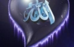 Sivrisinek Allah'ı zikrediyor ve Allah Diyor