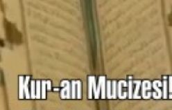 İşte Kur-an Mucizesi. Karıncaları Kur-an'ı Kerim nasıl durdurdu! Mutlka izleyiniz.