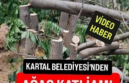 Kartal Belediyesi'nden ağaç katliamı
