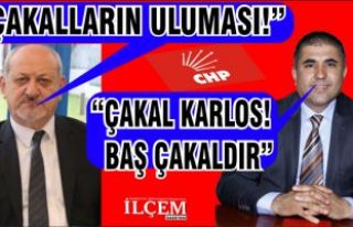 Memur Fehmi Okay'ın Çakal mesajına tepkiler...