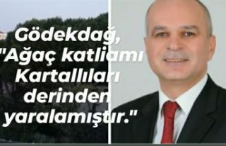 Gödekdağ, "Ağaç katliamı Kartallıları...