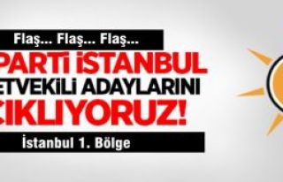 Ak Parti İstanbul 1. Bölge milletvekili adaylarının...