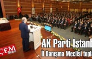 AK Parti İstanbul İl Danışma Meclisi toplandı