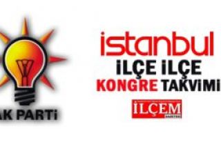 AK Parti İstanbul İlçe Teşkilatlarının kongre...