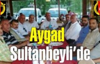 Anadolu Yakası Gazeteciler Cemiyeti Üyeleri Sultanbeyli'de...