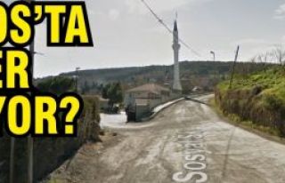 Aydos'ta neler oluyor? Yetkililer görevlerini yerine...