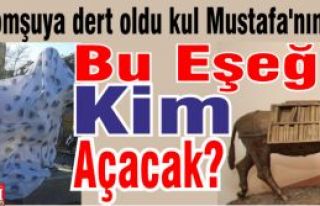 Bu eşeği kim açacak? 