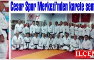 Cesur Spor Merkezinden karete semineri