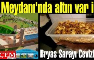 Ceviz Meydanı'nda altın var iddiası! Bryas Sarayı...