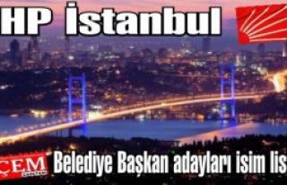 CHP İstanbul İlçe Belediye Başkan adayları isim...