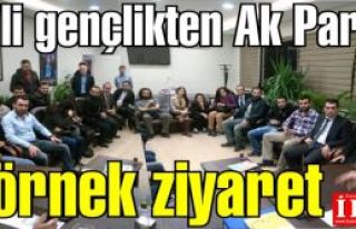 CHP'li Gençlerden Ak Parti'ye örnek ziyaret