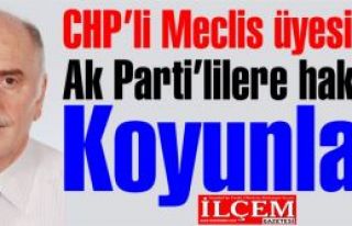 CHP'li meclis üyesi'nden 'Koyun' hakareti!