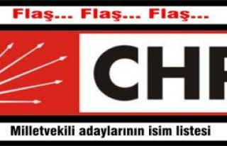 CHP'nin kesinleşmiş milletvekili adaylarının isim...
