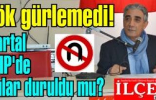 Gök gürlemedi! Kartal CHP'de sular duruldu mu?