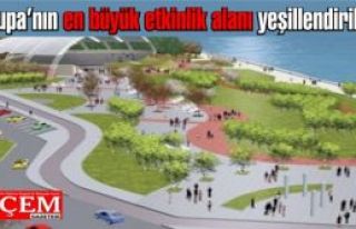 Maltepe etkinlik, eğlence ve spor alanı yeşillendiriliyor