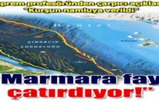 Marmara ve İstanbul'da Deprem endişesi!