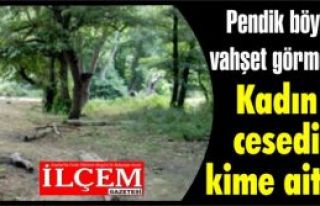 Pendik böyle vahşet görmedi!