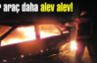 Pendik'te yanan araç kullanılamaz hale geldi.