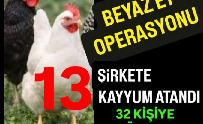13 Beyaz et şirketine Kayyum, 32 şüpheliye gözaltı.