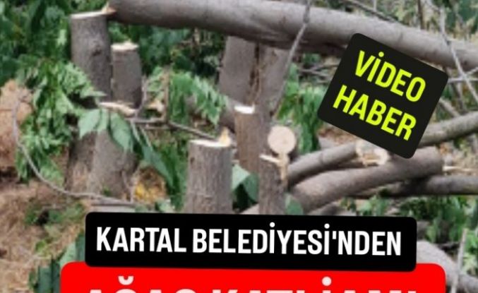 Kartal Belediyesi'nden eşi görülmemiş ağaç katliamı