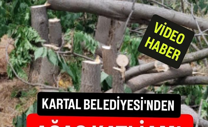 Kartal Belediyesi'nden eşi görülmemiş ağaç katliamı